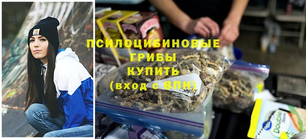 дмт Алзамай