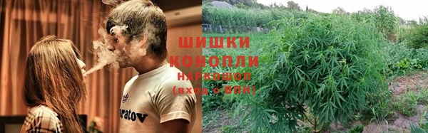 дмт Алзамай